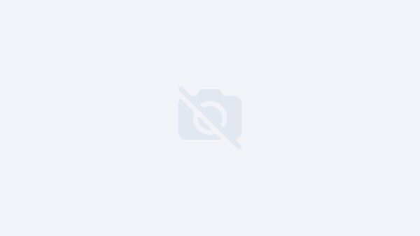 Live 2023 Dual Audio Hindi ORG WEB-DL