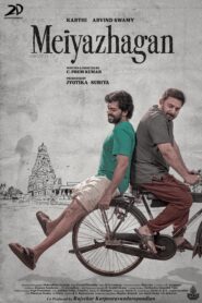 Meiyazhagan 2024 Dual Audio Hindi ORG WEB-DL