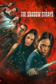 The Shadow Strays 2024 Dual Audio Hindi WEB-DL