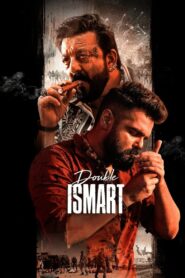 Double iSmart 2024 Hindi ORG WEB-DL