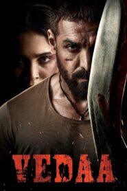 Vedaa 2024 Hindi ORG WEB-DL