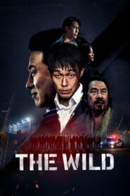The Wild 2023 Dual Audio Hindi ORG WEB-DL