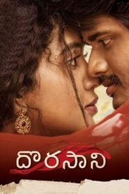 Dorasaani 2019 Dual Audio Hindi ORG WEB-DL