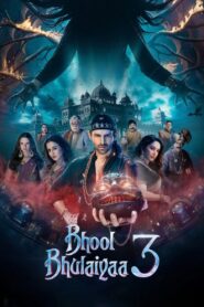 Bhool Bhulaiyaa 3 2024 V3 Hindi WEB-DL
