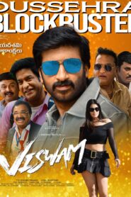 Viswam 2024 Telugu ORG WEB-DL