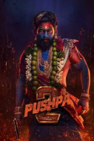 Pushpa 2 The Rule 2024 V3 Dual Audio Hindi ORG HD Web-DL