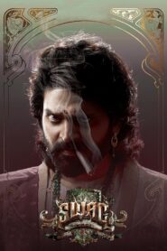 Swag 2024 Telugu ORG WEB-DL