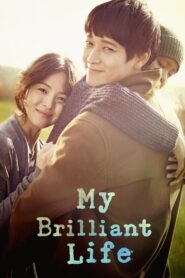 My Brilliant Life 2014 Dual Audio Hindi ORG BluRay