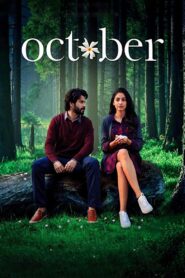 October 2018 Hindi ORG WEB-DL