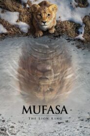 Mufasa: The Lion King 2024 Dual Audio Hindi ORG WEB-DL