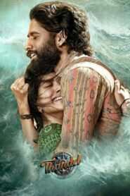 Thandel 2025 Dual Audio Hindi ORG HDRip