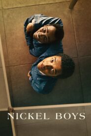 Nickel Boys 2024 Dual Audio Hindi ORG WEB-DL