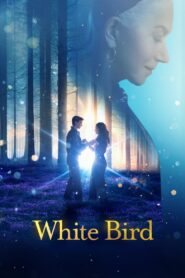 White Bird A Wonder Story 2024 Dual Audio Hindi ORG WEB-DL