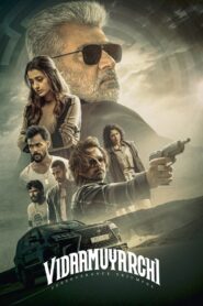Vidaamuyarchi 2025 Dual Audio Hindi ORG Web-DL