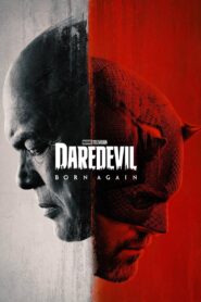 Daredevil: Born Again 2025 S01 EP-1-2 Dual Audio Hindi ORG WEB-DL
