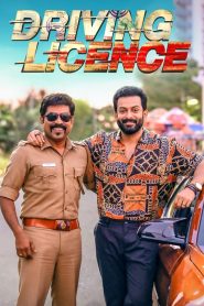 Driving Licence 2019 Dual Audio Hindi ORG WEB-DL