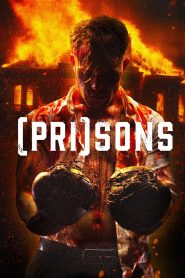 (Pri)sons 2024 Dual Audio Hindi ORG WEB-DL