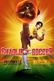 Shaolin Soccer 2001 Dual Audio Hindi ORG BluRay