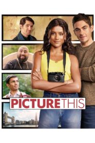 Picture This 2025 Dual Audio Hindi ORG WEB-DL