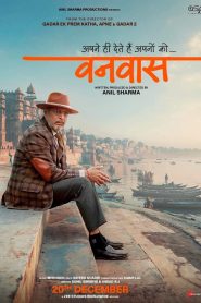 Vanvaas 2024 Hindi ORG WEB-DL