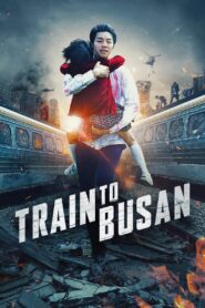 Train to Busan 2016 Dual Audio Hindi ORG BluRay