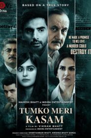 Tumko Meri Kasam 2025 Hindi ORG Pre-HDRip