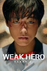 Weak Hero 2025 S01 Complete Dual Audio Hindi ORG WEB-DL
