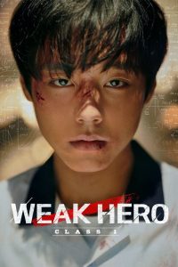 Weak Hero 2025 S01 Complete Dual Audio Hindi ORG WEB-DL