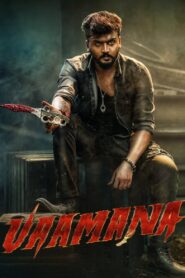 Vaamana 2025 Dual Audio Hindi ORG -WEB-DL
