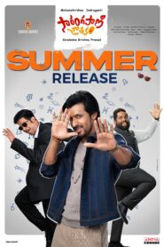 Sarangapani Jathakam 2025 Telugu ORG WEB-DL