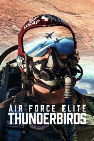 Air Force Elite: Thunderbirds 2025 Dual Audio Hindi ORG WEB-DL