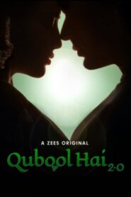 Qubool Hai 2025 S01 Complete Hindi ORG WEB-DL